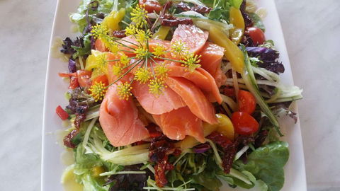 Thurlby Herb Farm Cafe - Restaurant Guide 0