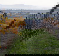 Barwon Ridge Wines - Restaurant Guide