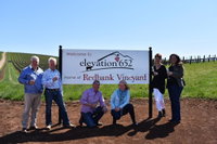 Redbank Wines