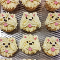 Cupcake Central - Hawthorn