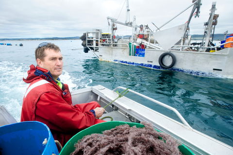 Peninsula Fresh Seafood - Restaurant Guide 0