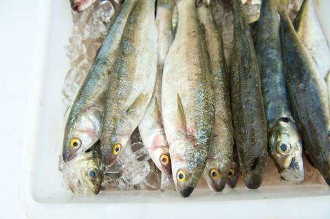 Peninsula Fresh Seafood - Restaurant Guide 2