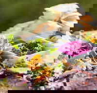 Australian Arid Lands Botanic Garden - Bluebush Cafe - Restaurant Guide