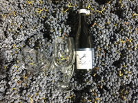Tobin Wines