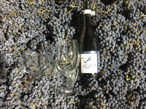 Tobin Wines - Restaurant Guide 0