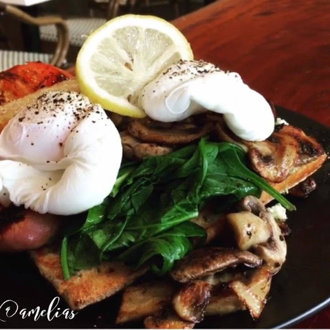 Amelia's Bakery - Restaurant Guide 0