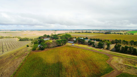 Pettavel Wines - Restaurant Guide 0