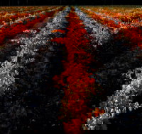 Sandhurst Ridge - Restaurant Guide