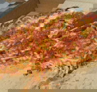 Frankie's Pizza