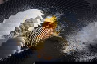 The Roundabout Restaurant