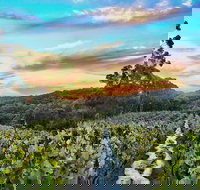 Between the Vines Cellar Door - Restaurant Guide