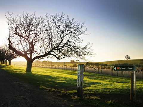 Clos Clare - Restaurant Guide 2