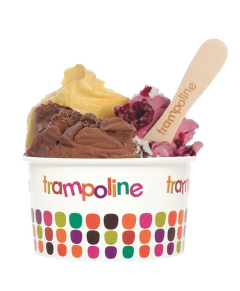 Trampoline Gelato - Doncaster - Restaurant Guide 0