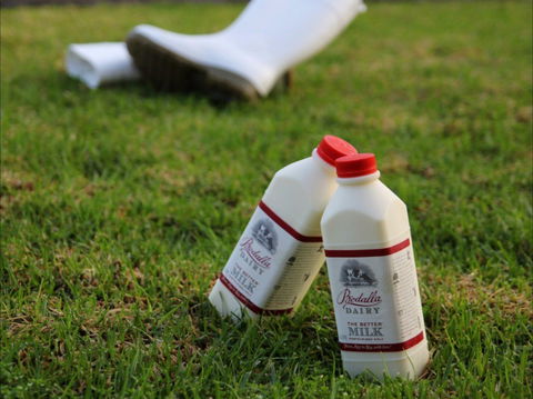 Bodalla Dairy - Cheese, Milk And Ice Cream Factory And Cafe - Restaurant Guide 0