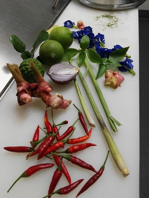 Thai Sensation - Restaurant Guide 0