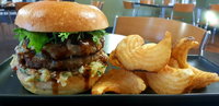 Maitland Takeaway and Maitland Restaurant Guide Restaurant Guide