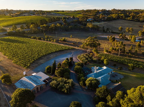 Shingleback Wine - Restaurant Guide 0