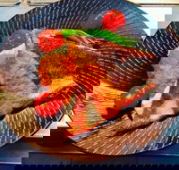 Wantirna Club - Restaurant Guide