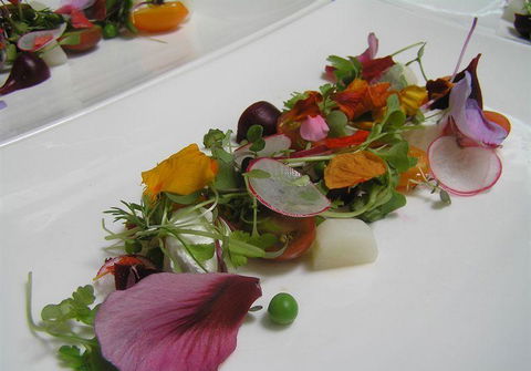 Bluebush Cafe - Restaurant Guide 13
