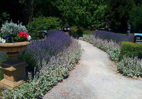 Bluebush Cafe - Restaurant Guide 6