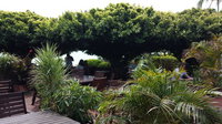 Wharf Restaurant