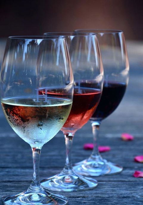 Vines Restaurant At Hollydene Estate - Restaurant Guide 8