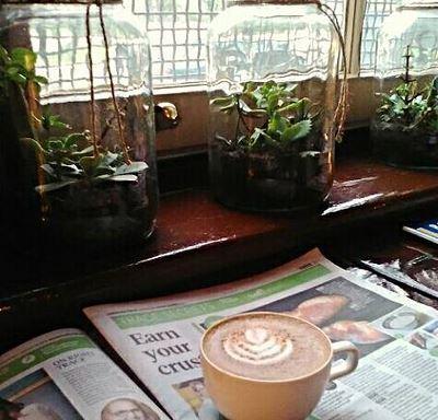 Cafe Invigor8 - Restaurant Guide 7