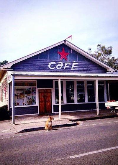 Blue Bean Love Cafe - Restaurant Guide 5