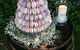 The Macaron Merchant - thumb 0