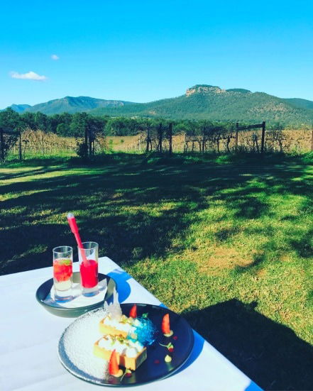 Mount Broke Wines Restaurant - Restaurant Guide 1