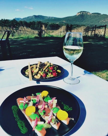 Mount Broke Wines Restaurant - Restaurant Guide 2