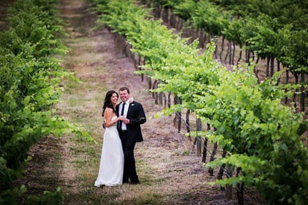 Mount Broke Wines Restaurant - Restaurant Guide 3