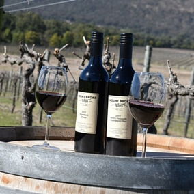 Mount Broke Wines Restaurant - Restaurant Guide 5