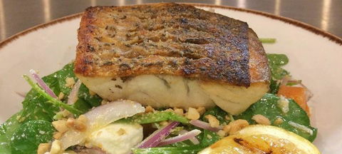The Grill - Restaurant Guide 1