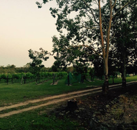 Brierley Wines - Restaurant Guide