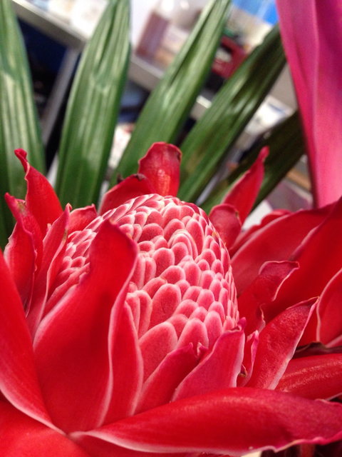 Ebb And Flow Cafe - Restaurant Guide 3