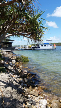 Tin Can Bay Yacht Club Bistro