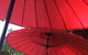 Tropical Phoenix Garden Restaurant - thumb 3