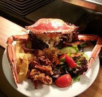 Safari Club Bar  Grill - Restaurant Guide
