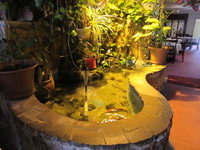 Tangs Chinese Restaurant