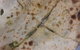 Copperpot Indian Restaurant - thumb 0