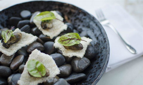 V Series - Restaurant Guide 11