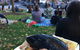 Street Eats @ Franko - thumb 4