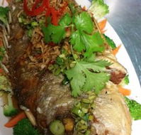 Vanidol's Asian Cuisine - Restaurant Guide