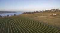 Bangor Vineyard Shed