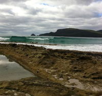 Bruny Island Berry Farm - Restaurant Guide