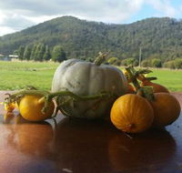 Mount Gnomon Farm - Restaurant Guide