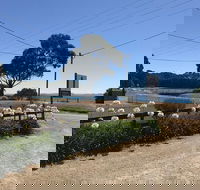 Penguin  Pardalote Coffee House - Restaurant Guide
