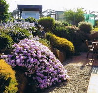Pipers River Tea House and Crafts - Restaurant Guide