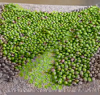 Wattle Hill Olives - Restaurant Guide